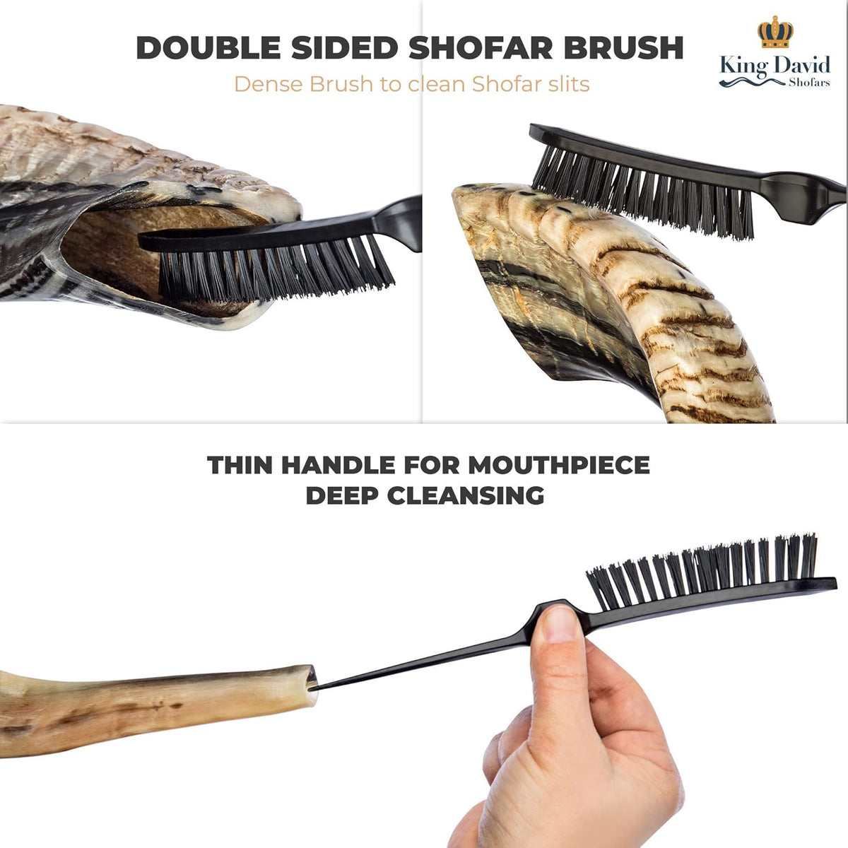 Shofar Horn Instrument Pack of 2 F986361