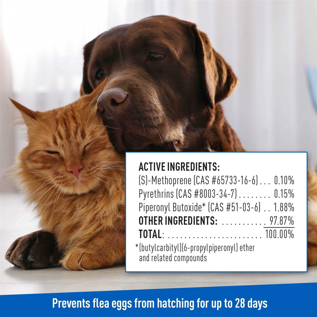 Flea Tick Shampoo O5042