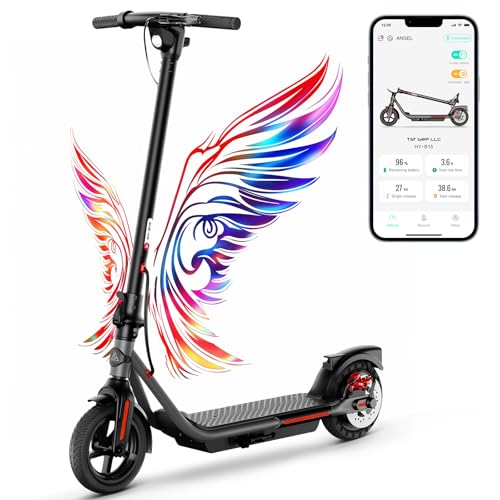 Electric Scooter with Dual Brakes Y997