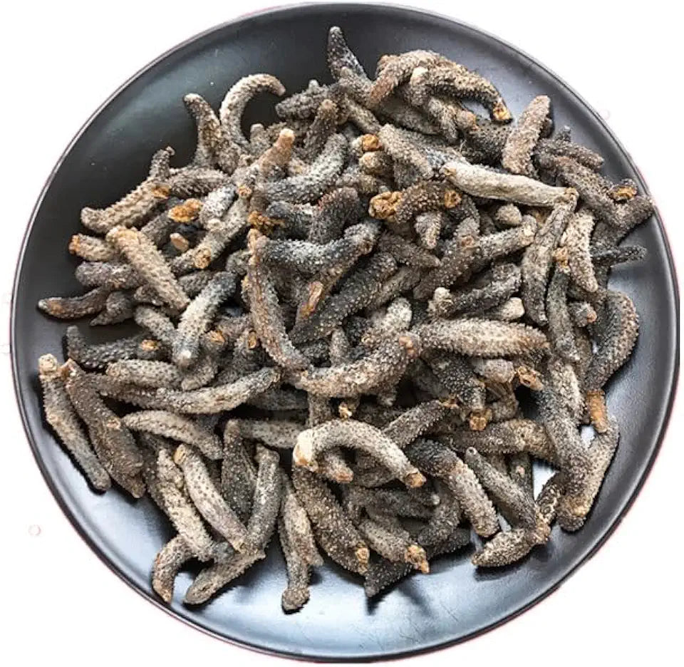Wild Dried Sea Cucumber 500g T113017