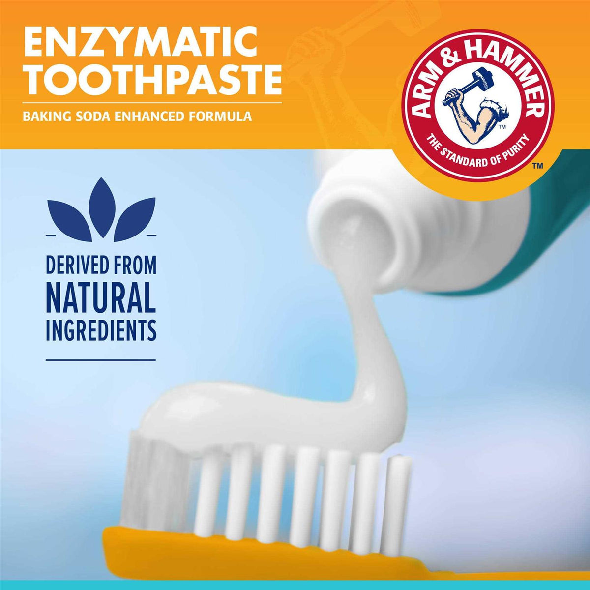 Dog Dental Kit G473