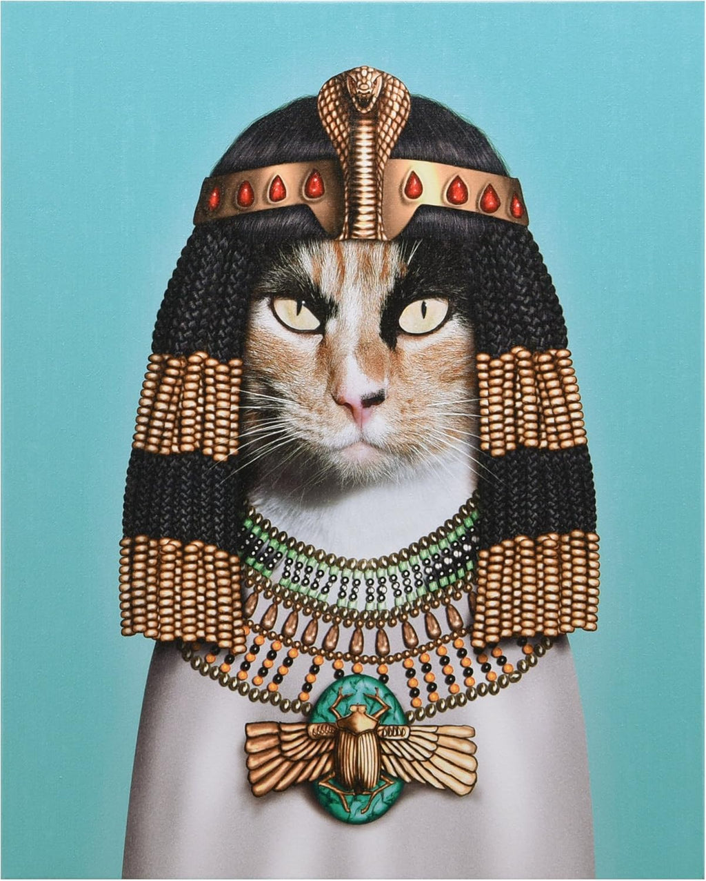 Cat Canvas Wall Art, 20 x 16 x 2 K274299