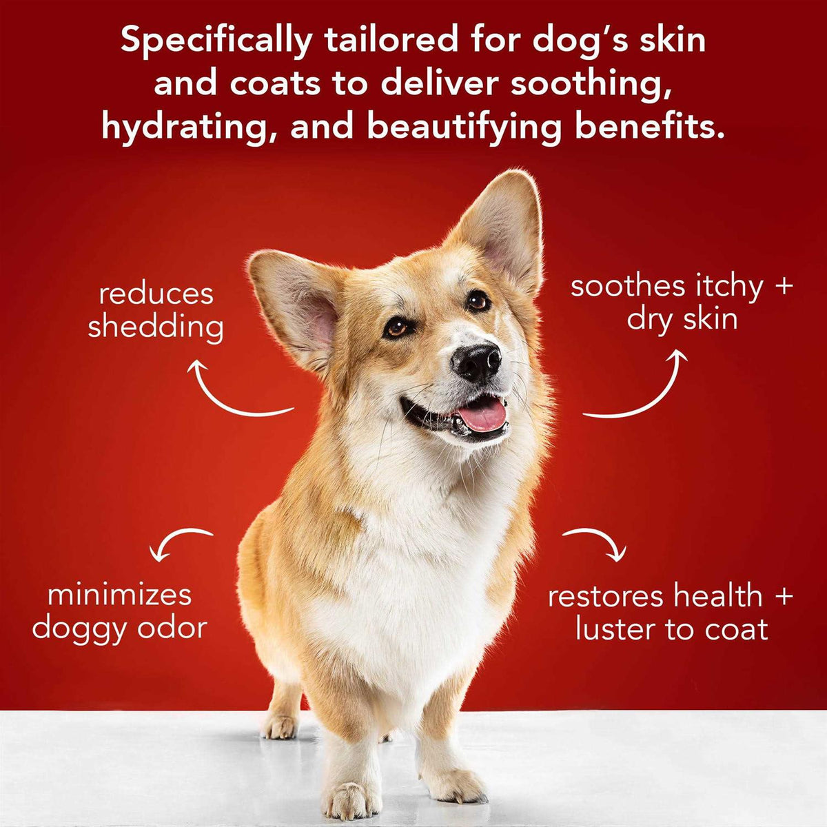 Dog Shampoo B945720
