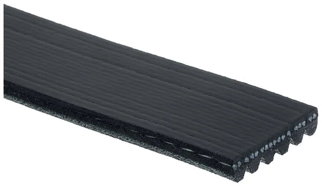 Serpentine Belt U16369