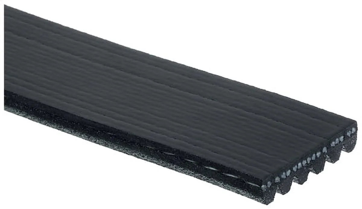 Serpentine Belt U16369