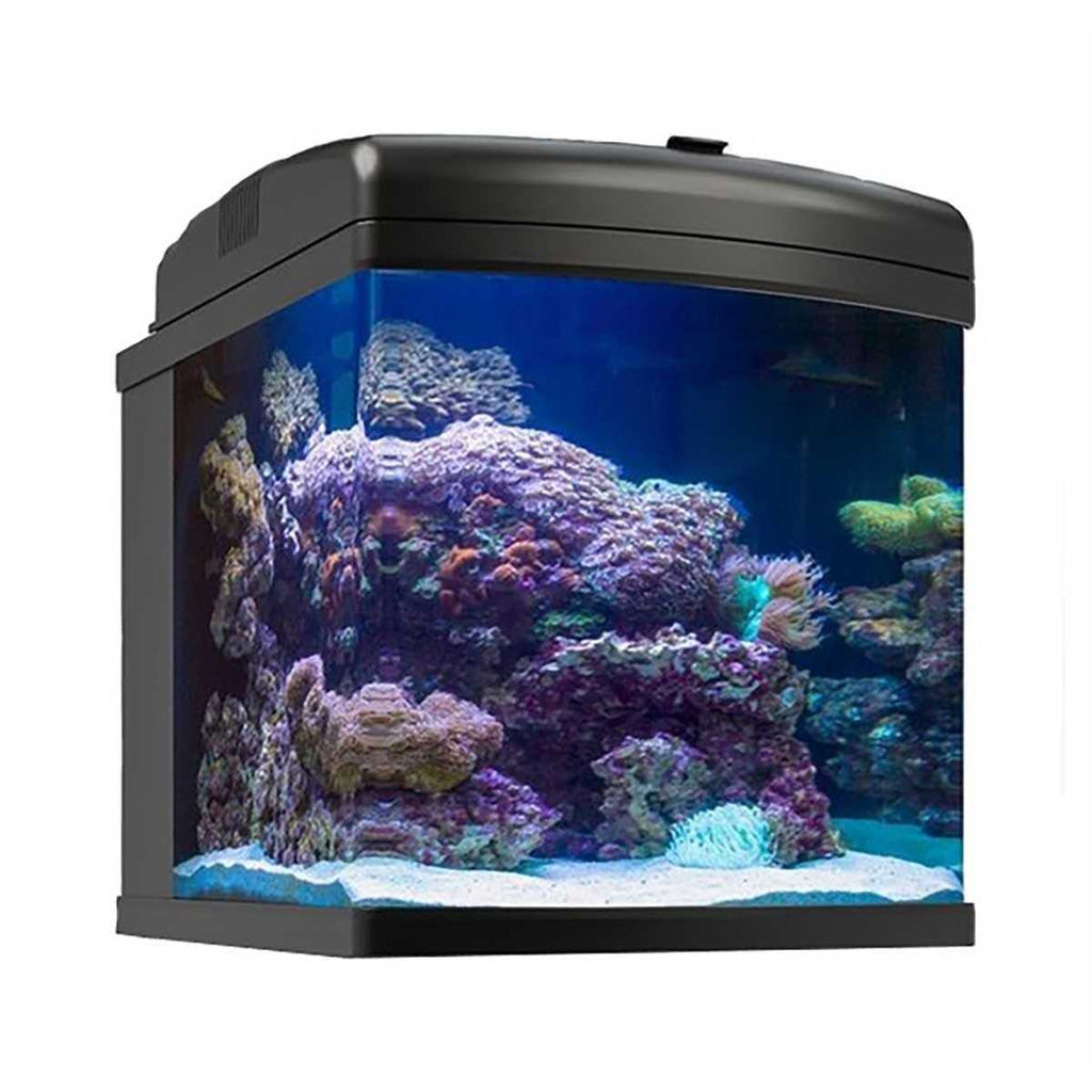 28g LED Aquarium Z35865