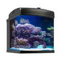 28g LED Aquarium Z35865