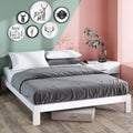 White Metal Platform Bed Frame, Queen X8560