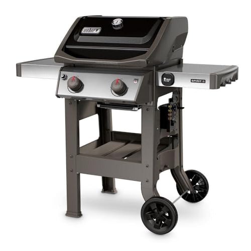 2-Burner Liquid Propane Grill, Black N466