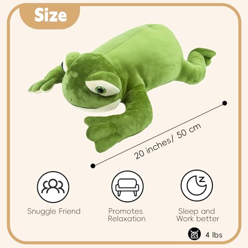Weighted Plush Pillow P1088