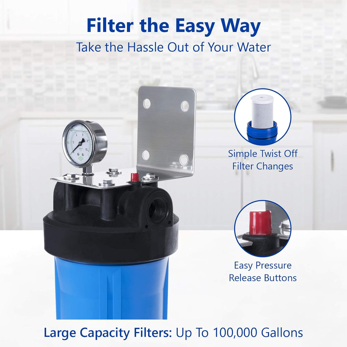 Whole House Water Filtration System with Polyphosphate Conditioner, Blue U187
