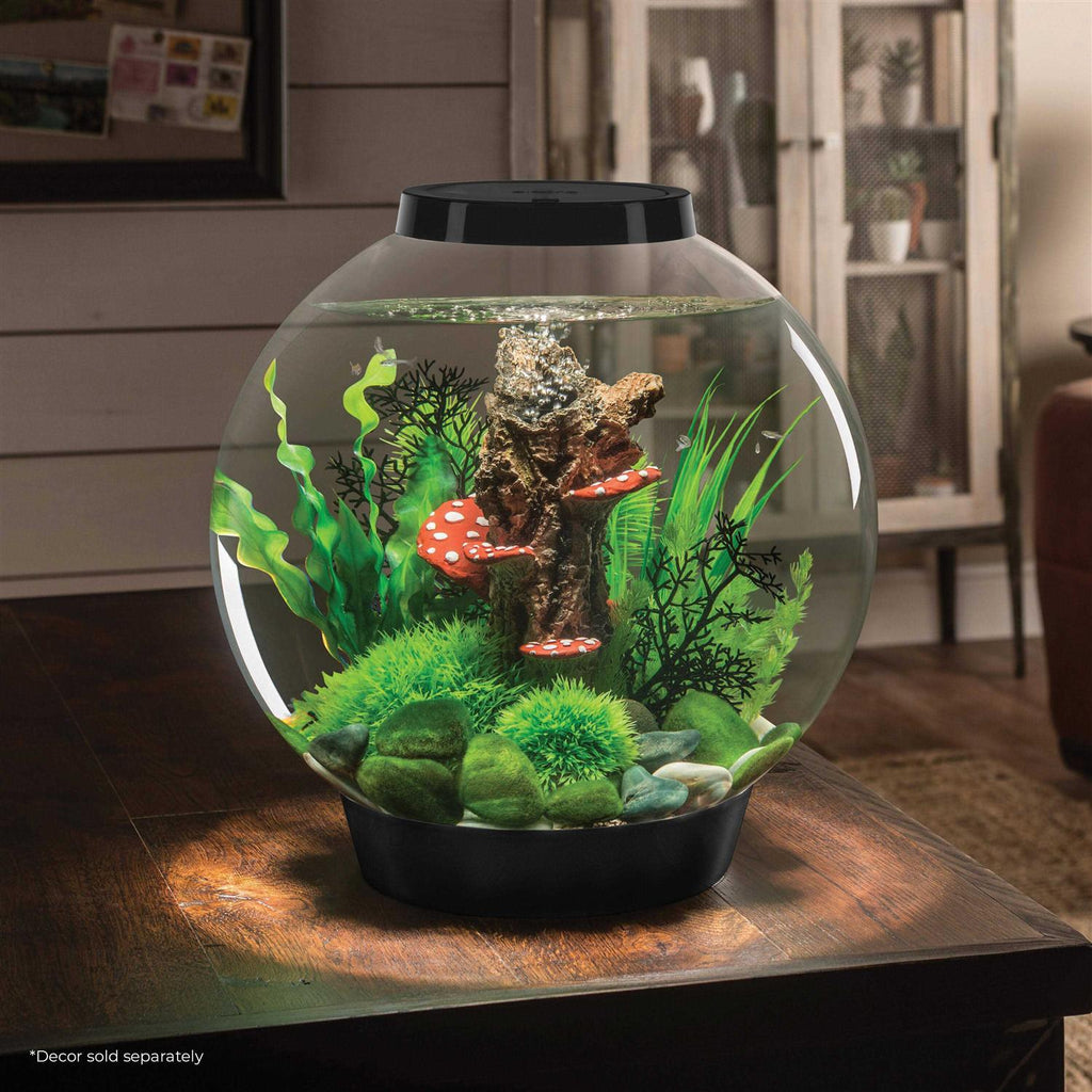 Classic 60 Aquarium with LED F3300