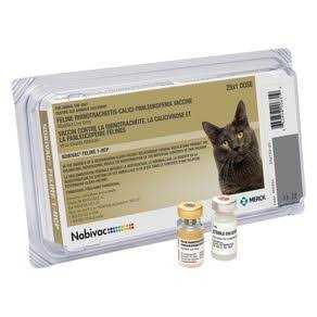 Feline 1-HCP O7180