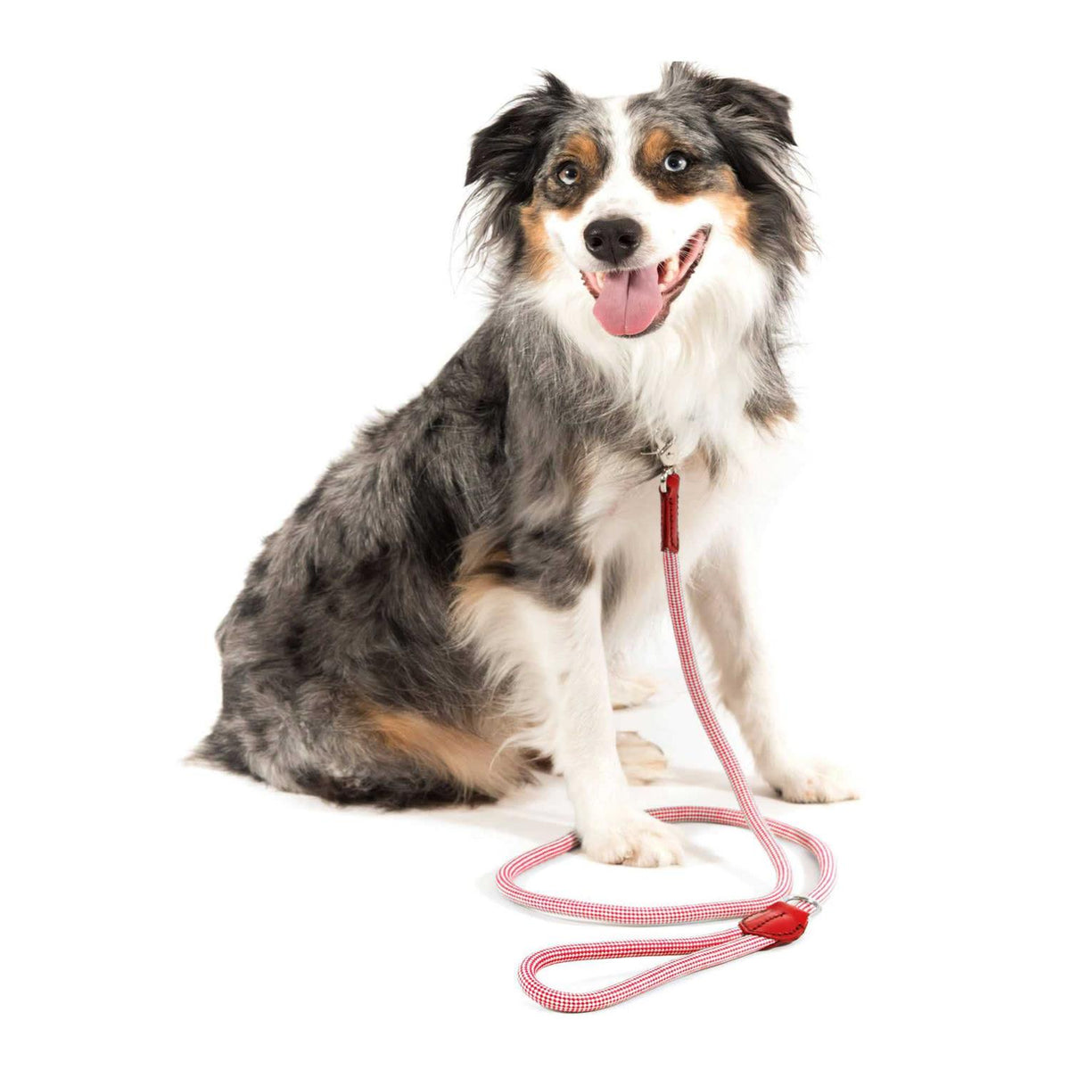 Check Rope Dog Leash H58318