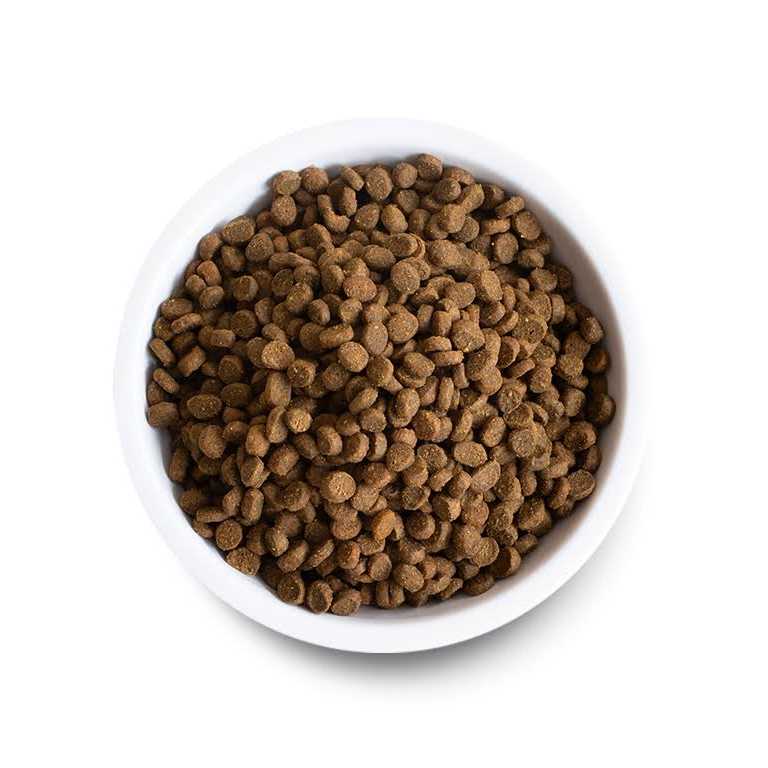 Grain Free Pasture Raised Lamb Recipe Dry Cat Food H599
