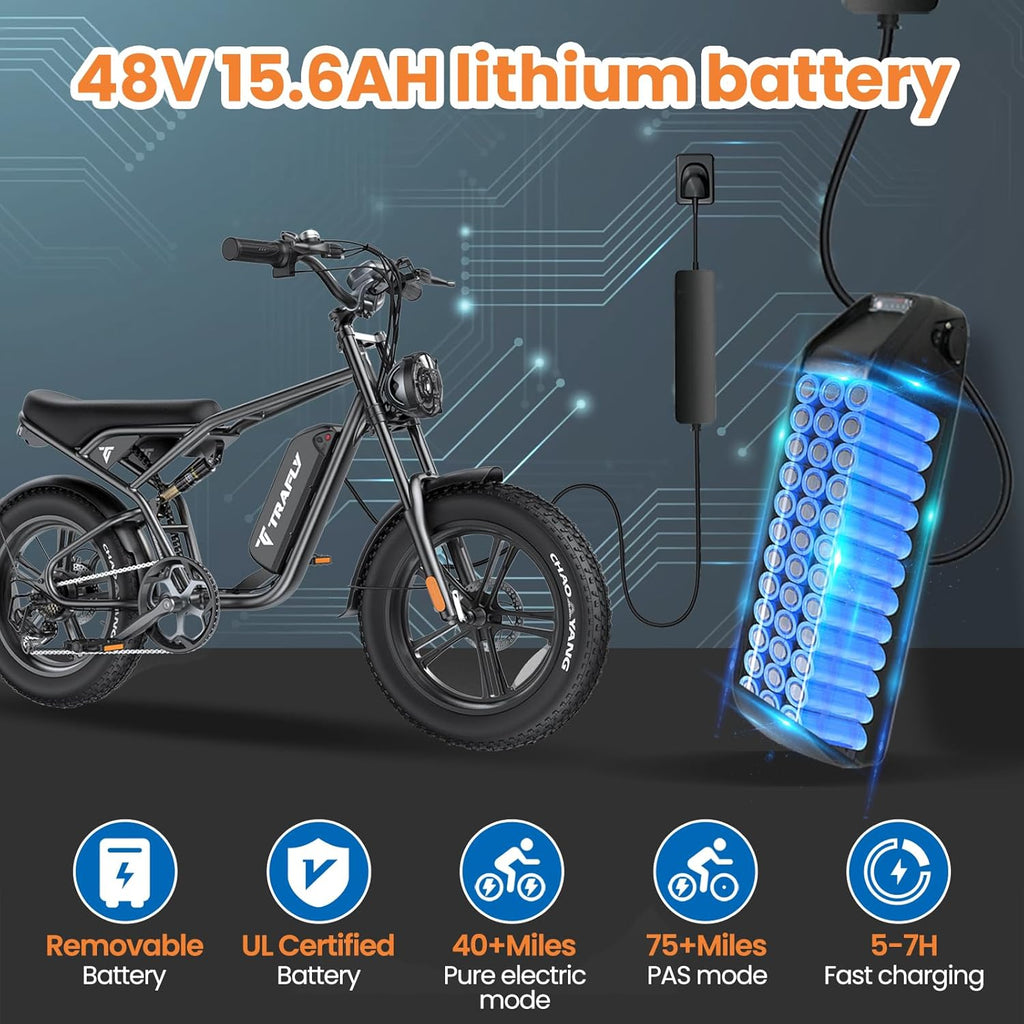20'' Fat Tire Electric Bike with 1500W Peak Motor and 48V15.6Ah Removable Battery B658591