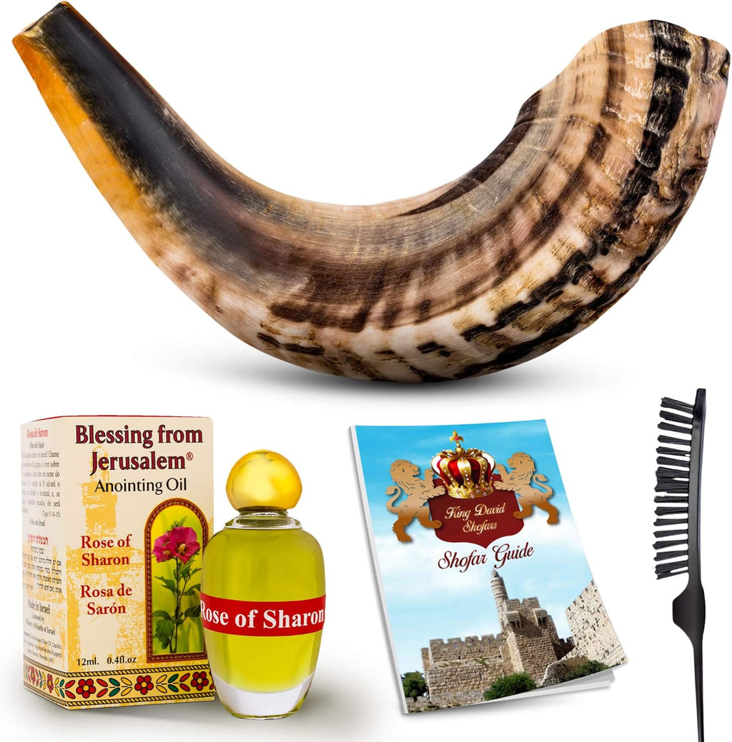 Shofar Horn Instrument Pack of 2 F986361