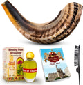 Shofar Horn Instrument Pack of 2 F986361