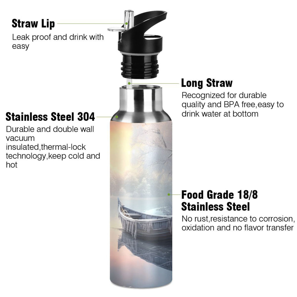 Insulated Stainless Steel Water Bottle with Straw Lid, 20 oz M7232