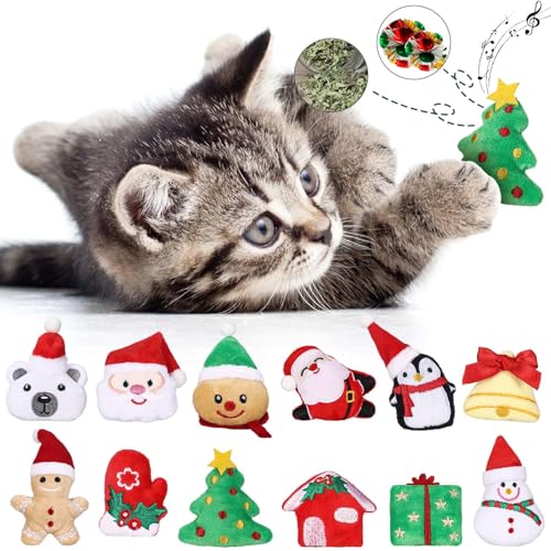 Catnip Silvervine Cat Chew Toy 12 Pcs Y229