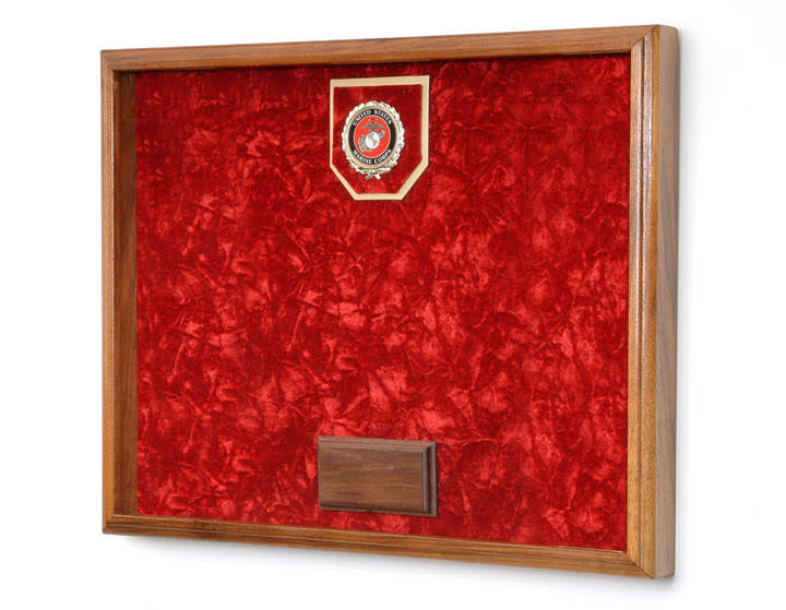 Awards Display Case I45027