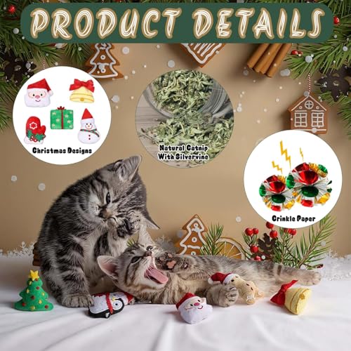 Catnip Silvervine Cat Chew Toy 12 Pcs Y229