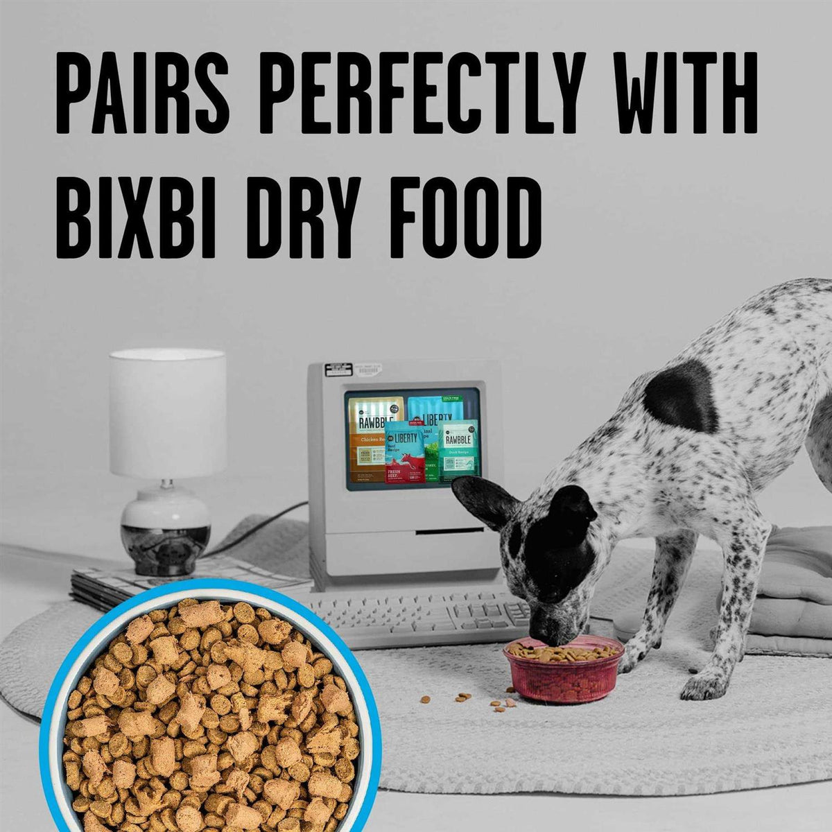 Chicken Freeze-Dried Dog Food J59257