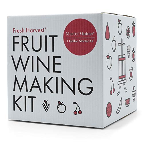One Gallon Fruit Wine Making Kit H438