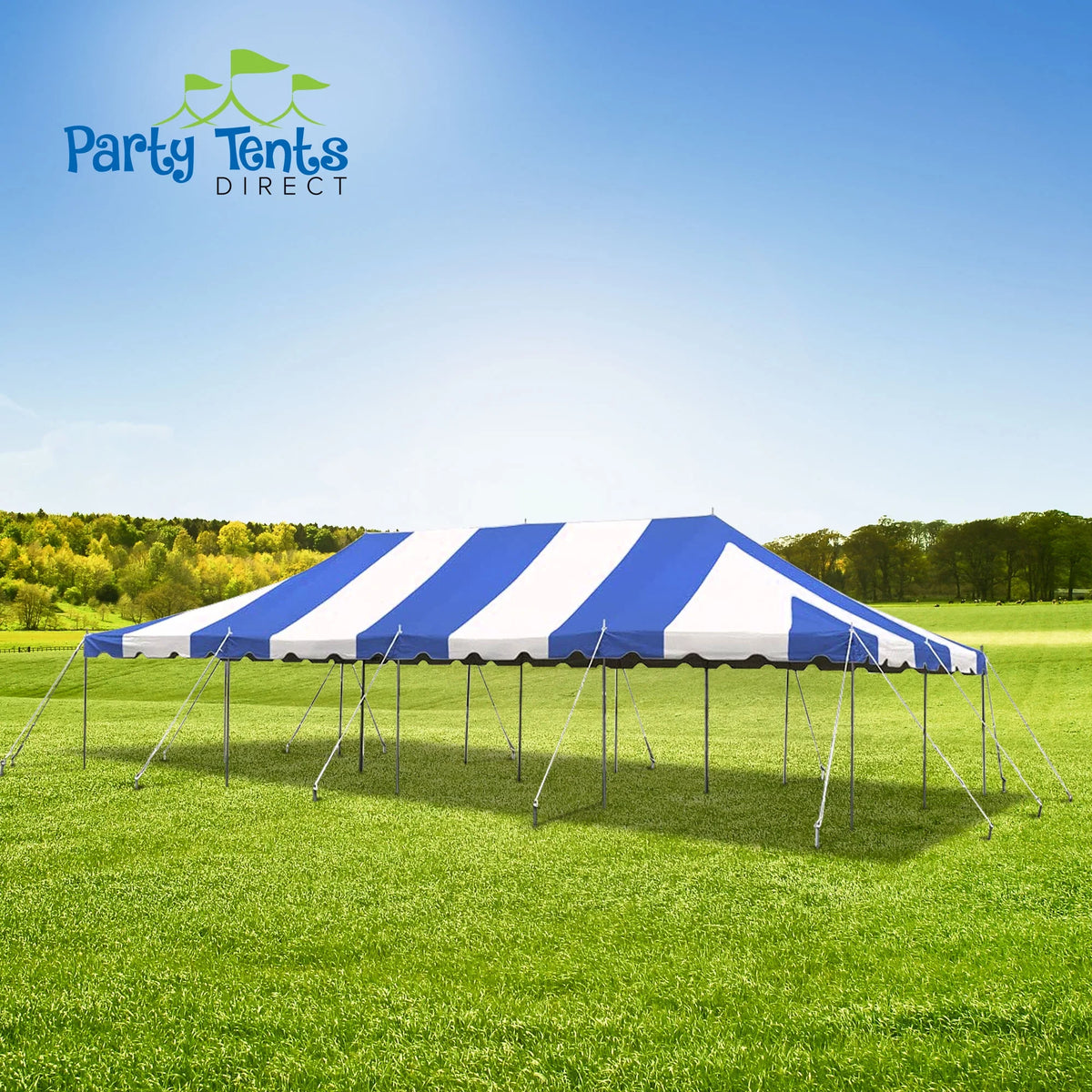 Blue 20 ft x 40 ft Outdoor Canopy Pole Tent Y931457