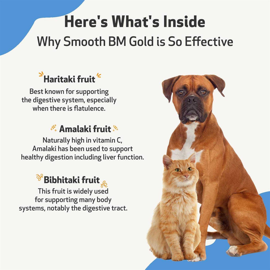 Smooth BM Gold P773013