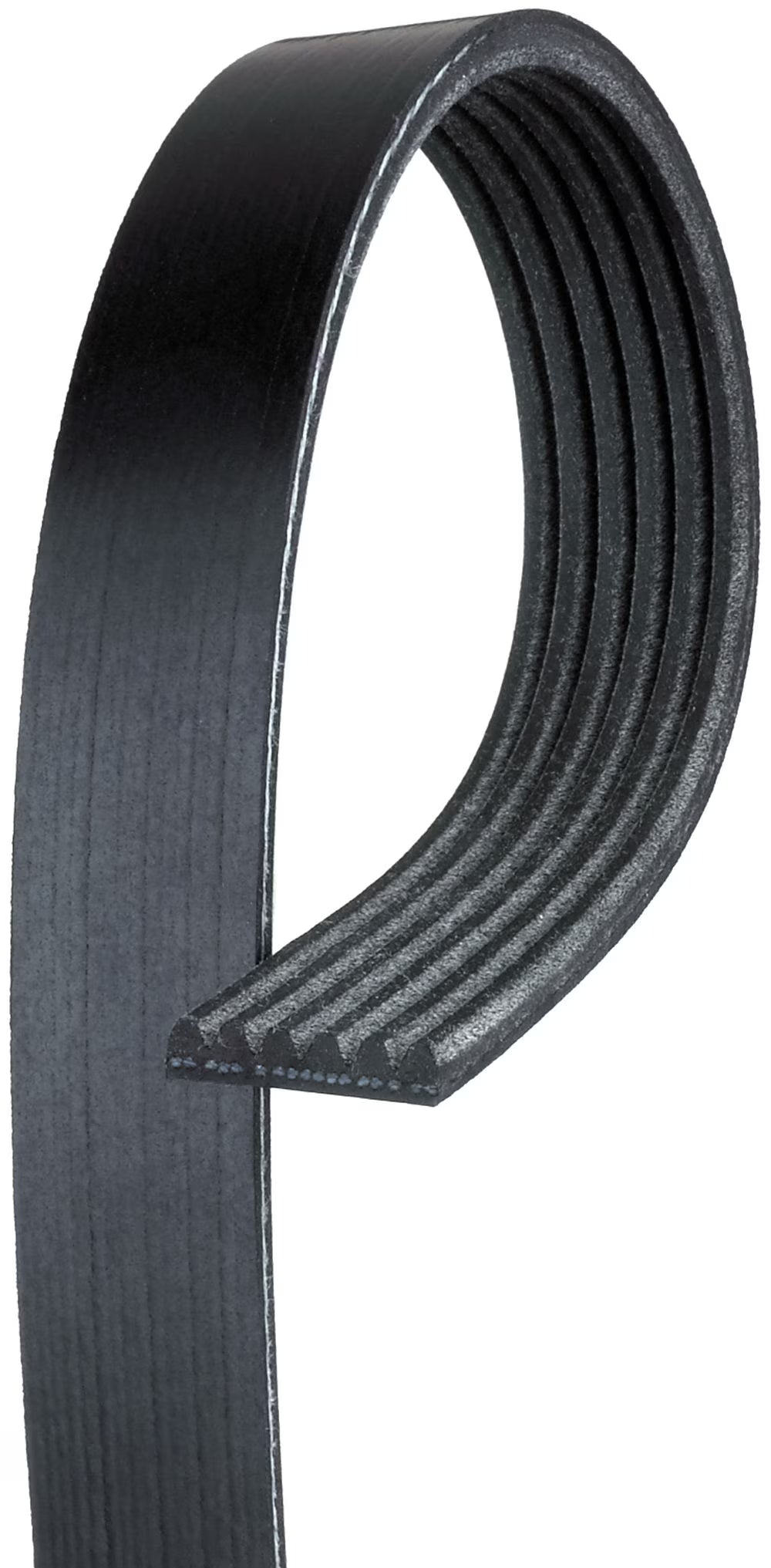 Serpentine Belt U16369