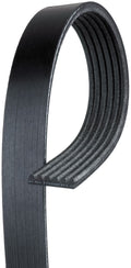 Serpentine Belt U16369