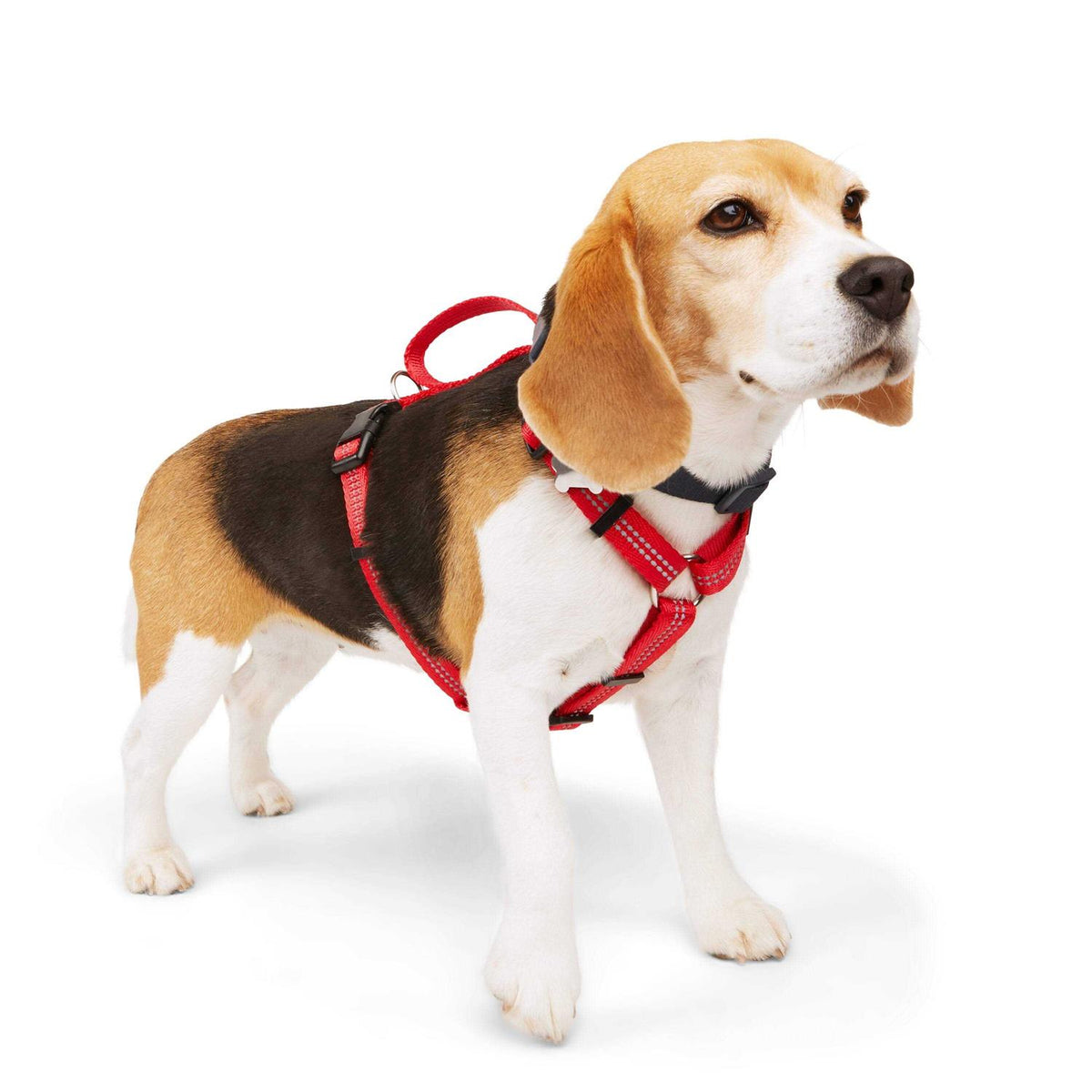 Reflective Dog Harness V274409