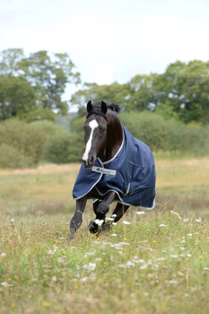 Navy 300g Turnout I64253
