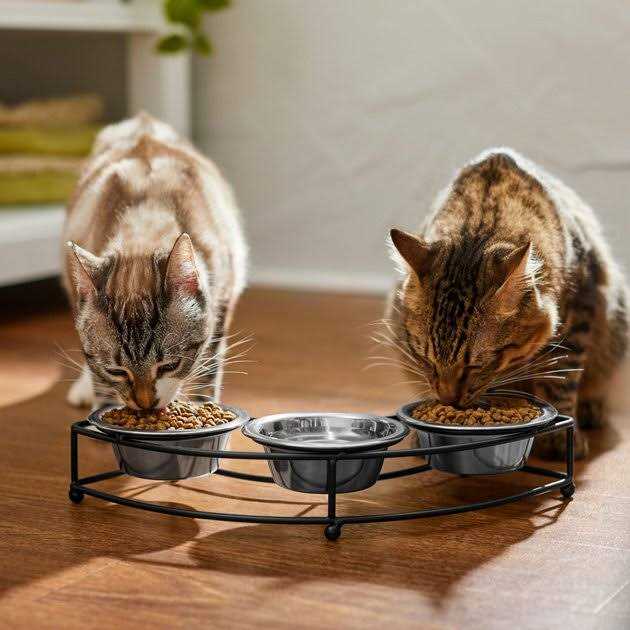 Stainless Steel Dog & Cat Bowl X3279