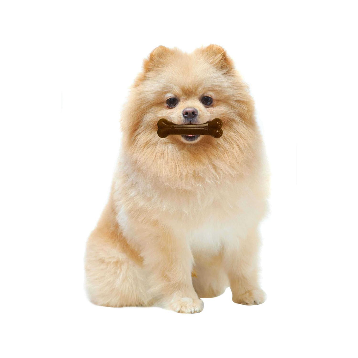 Chicken Flavor Puppy Chew Ring Bone Petite R545246