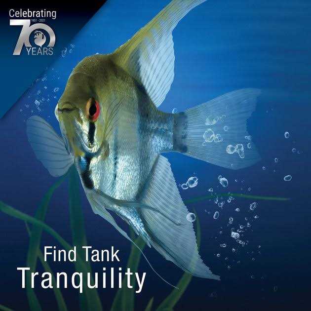 1.5 Gallon Cube with Whisper Filtration M757