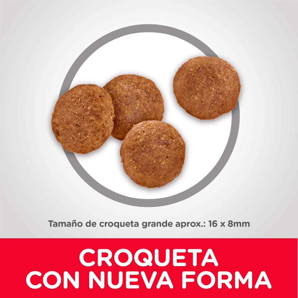 Chicken & Barley Recipe Large Breed Dry Dog Food C955637
