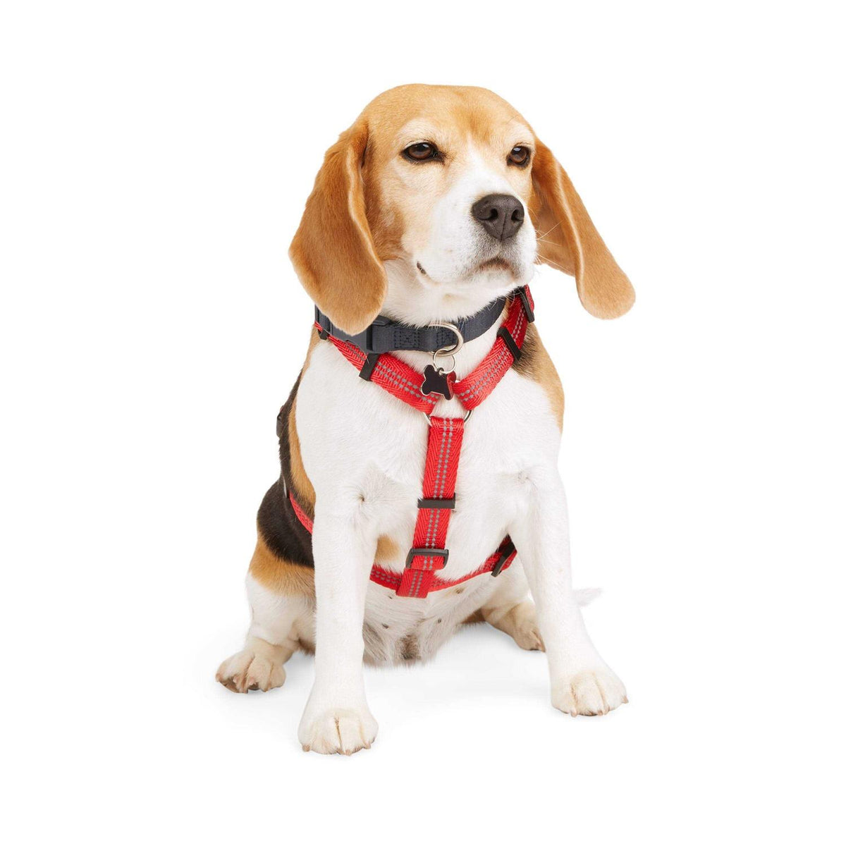 Reflective Dog Harness V274409