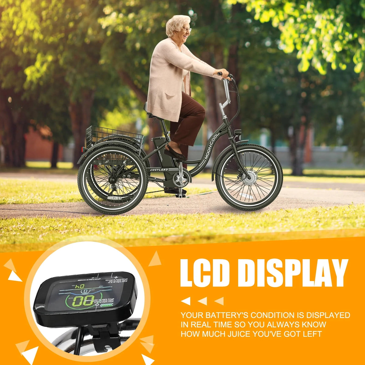 Electric Tricycle with Removable Lithium Battery U5686