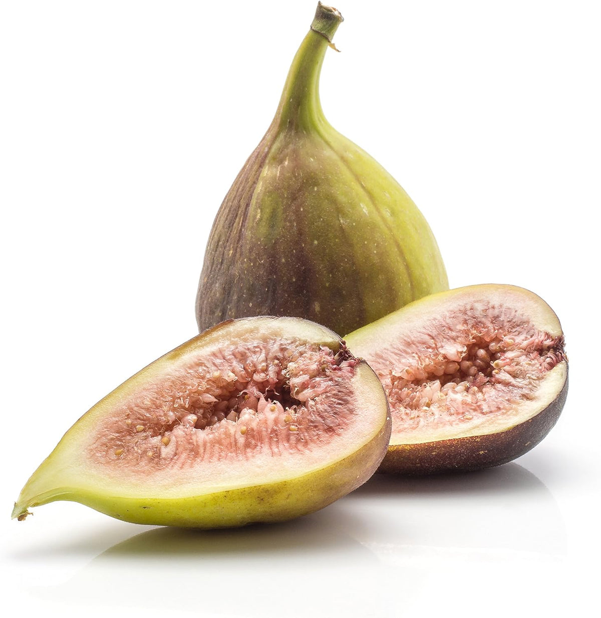 Brown Turkey Fig Self-Pollinating Fig Tree P381
