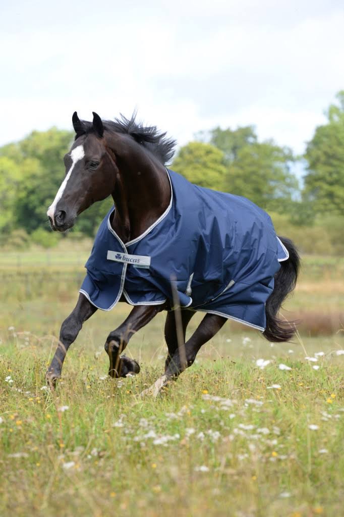 Navy 300g Turnout I64253
