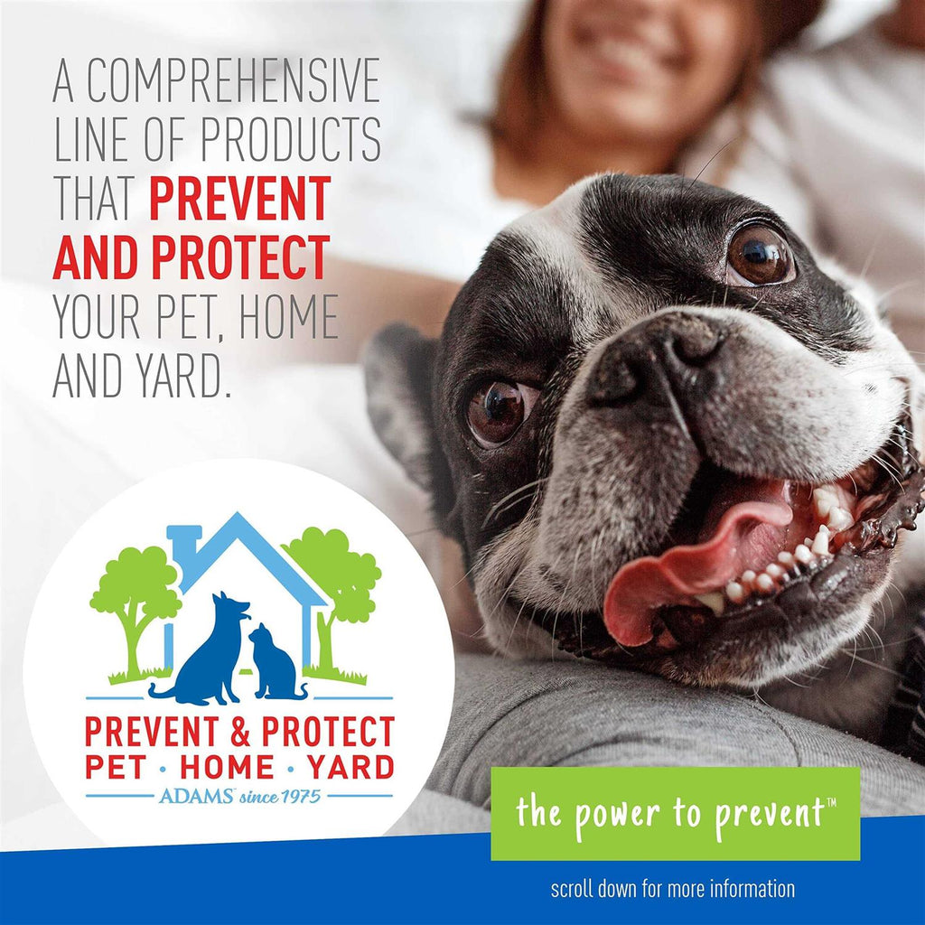 Flea Tick Shampoo O5042