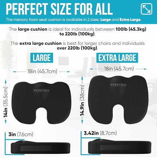 Memory Foam Lumbar Support Pillow H60736