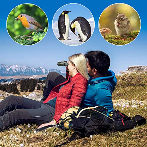 16X52 High Power Prism Compact Monocular Telescope Q906165