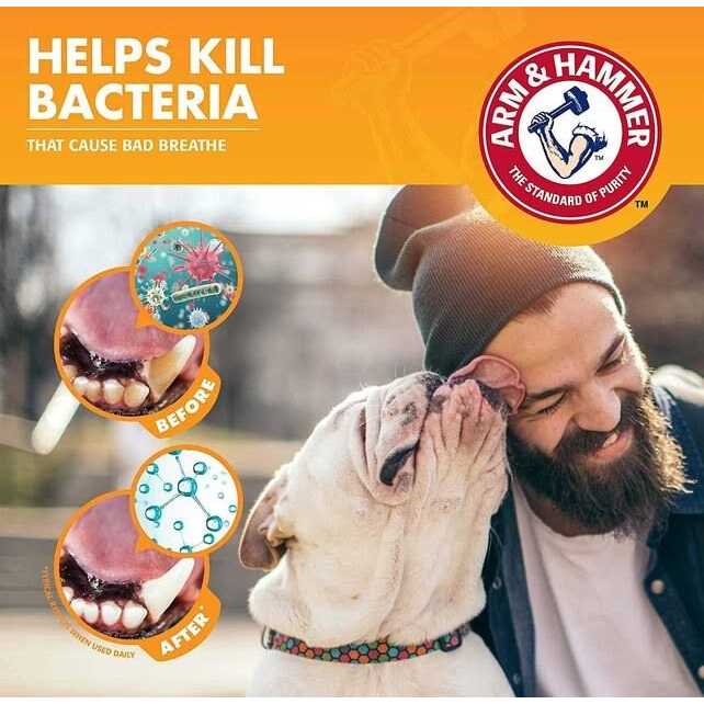 Dog Dental Kit G473