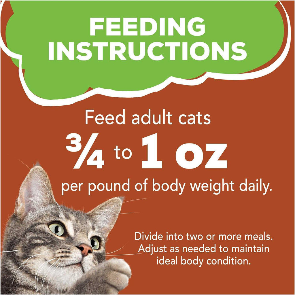 Wet Cat Food V3062