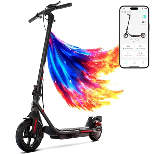 Electric Scooter with Dual Brakes Y997