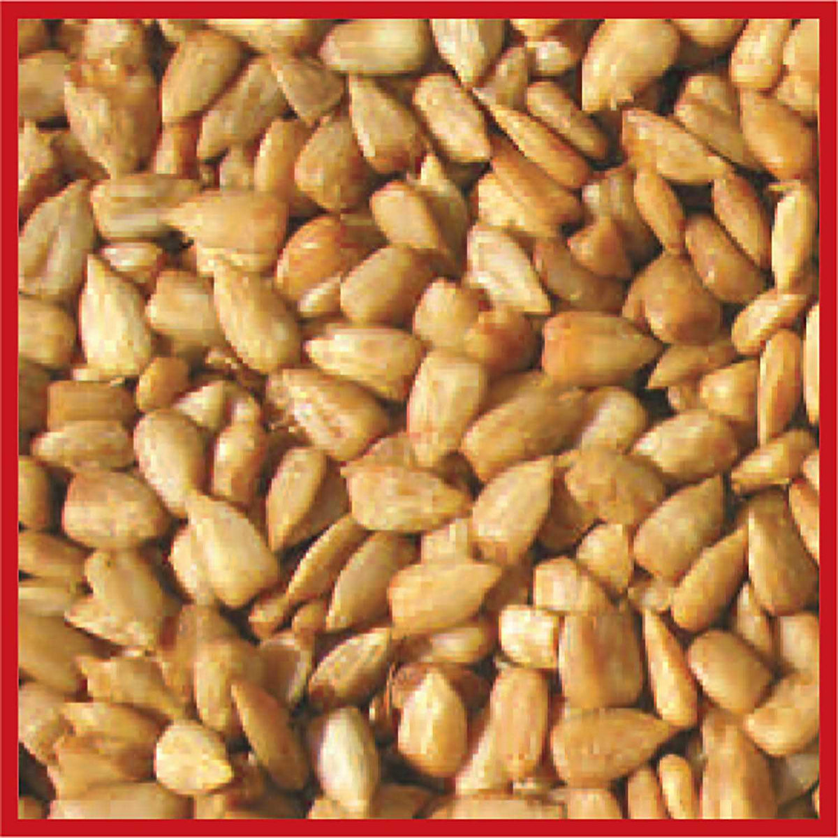 Bird Seed X3350