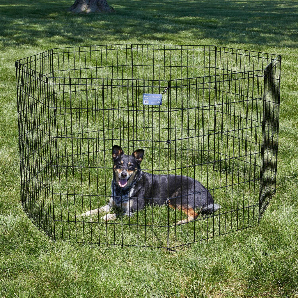 Exercise Pen M302